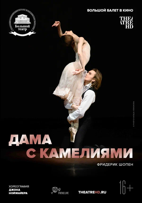 Постер: Дама с камелиями