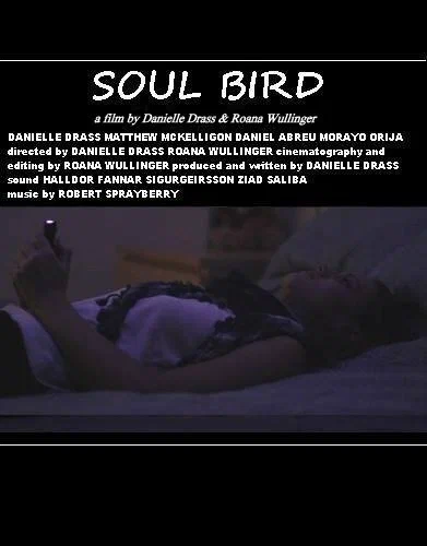 Постер: Soul Bird