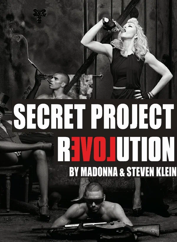 Постер: Secret Project Revolution