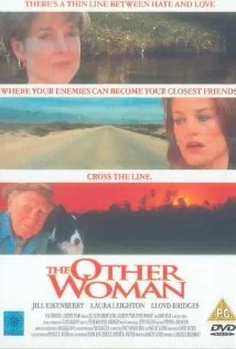 Постер: The Other Woman