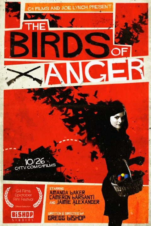 Постер: The Birds of Anger