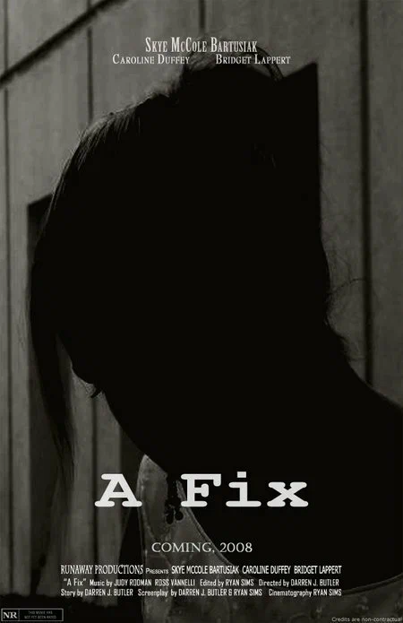 Постер: A Fix