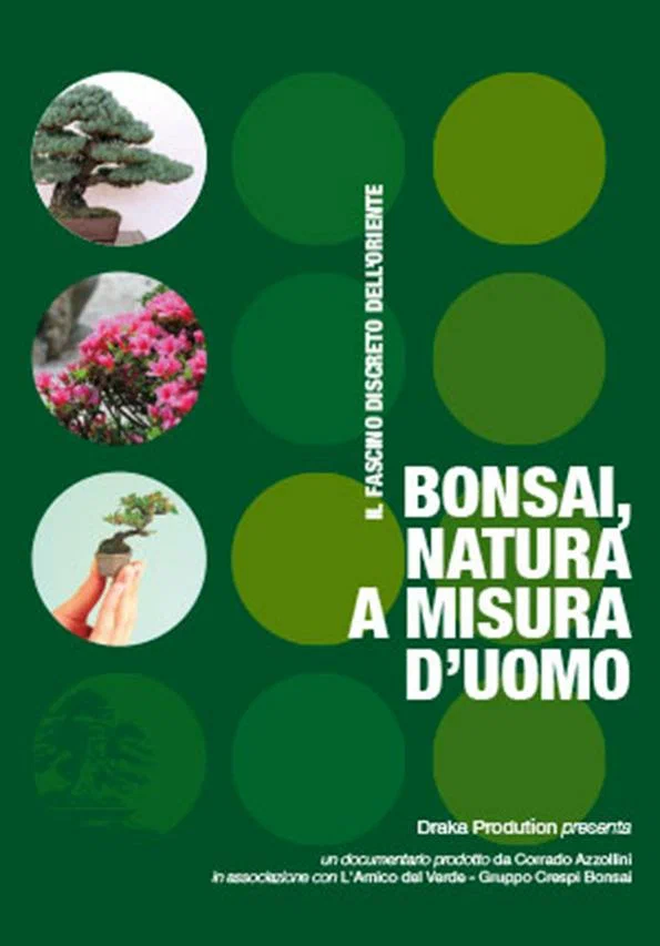 Постер: Bonsai, natura a misura d'uomo