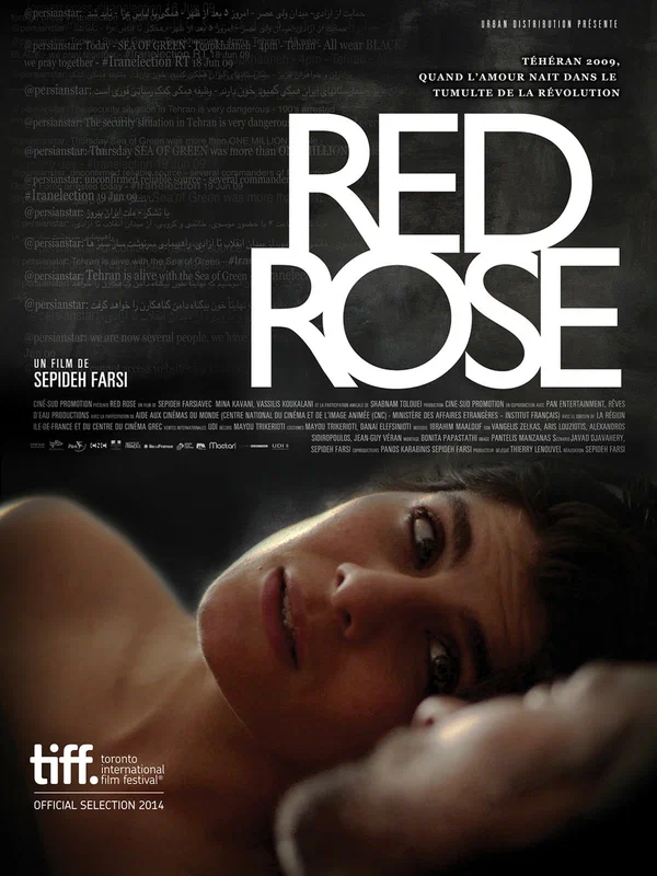 Постер: Red Rose