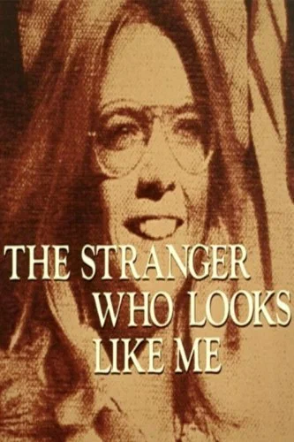Постер: The Stranger Who Looks Like Me