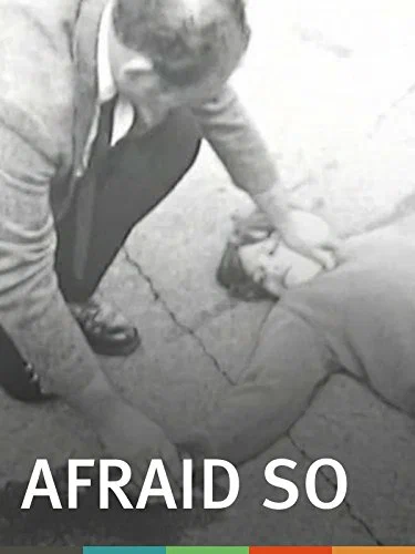 Постер: Afraid So