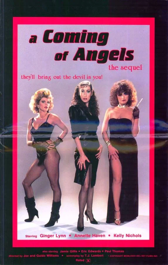 Постер: A Coming of Angels: «The Sequel»
