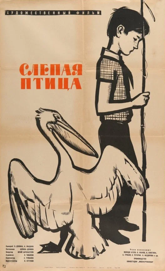Постер: Слепая птица