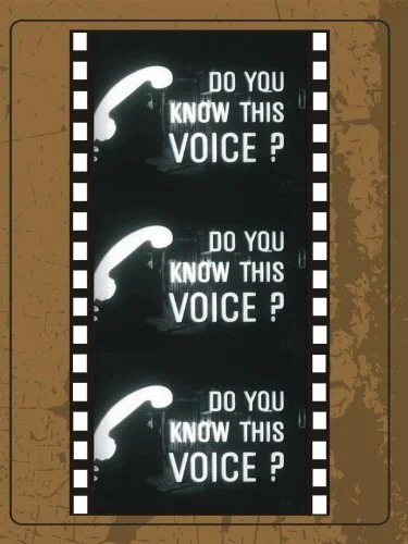 Постер: Do You Know This Voice?