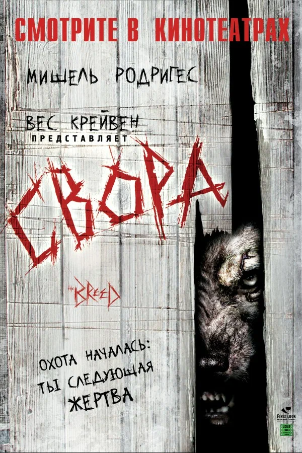 Постер: Свора