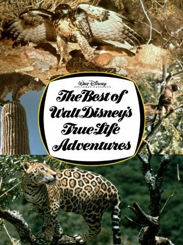Постер: The Best of Walt Disney's True-Life Adventures