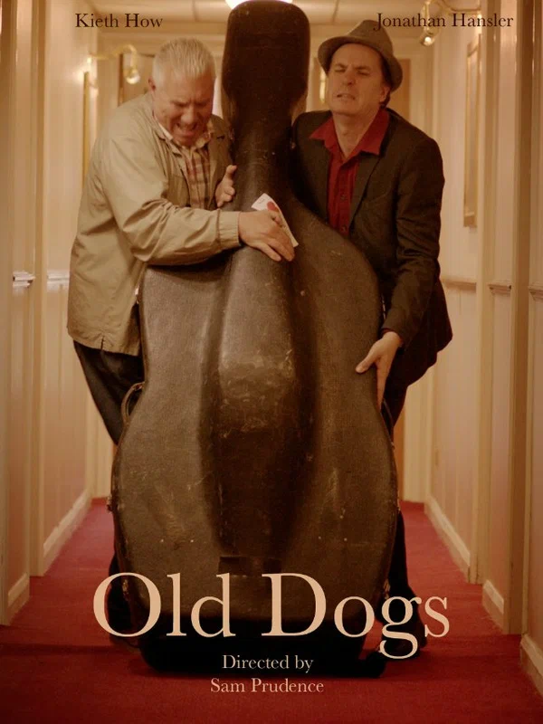 Постер: Old Dogs