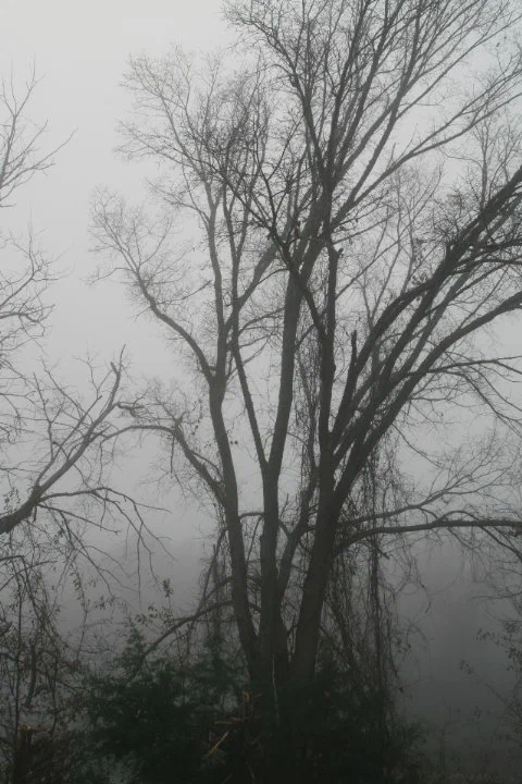 Постер: A Haunting in Arkansas