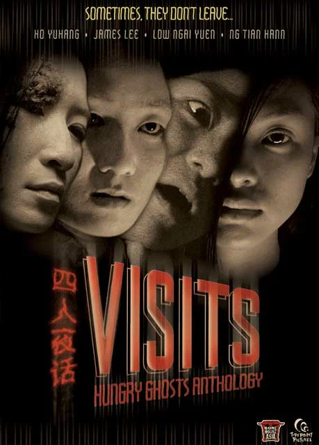 Постер: Visits