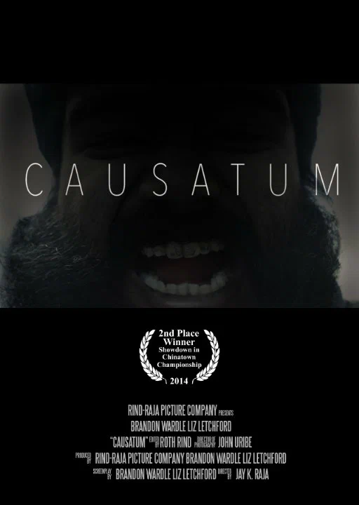 Постер: Causatum