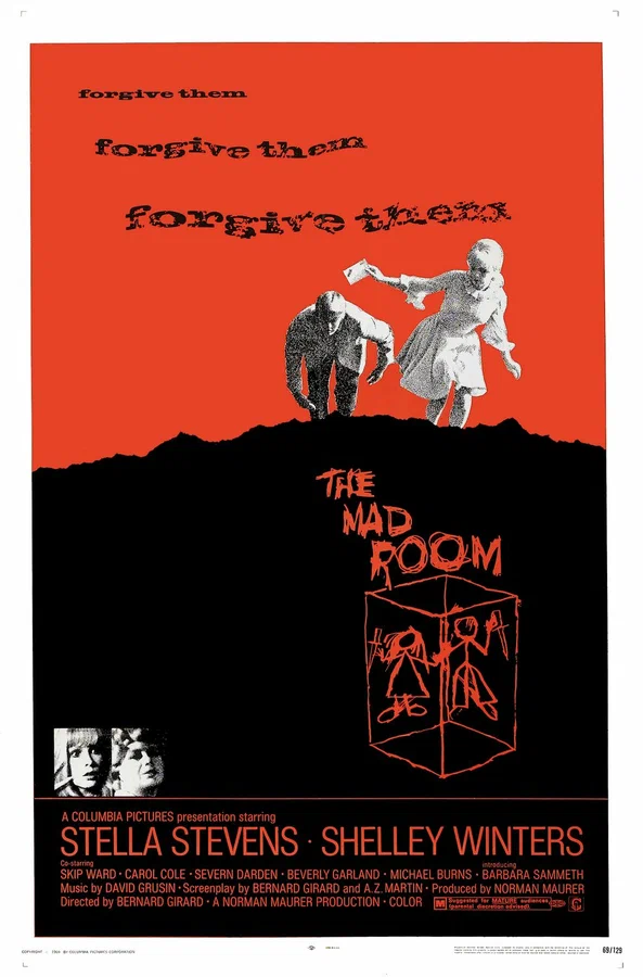 Постер: The Mad Room