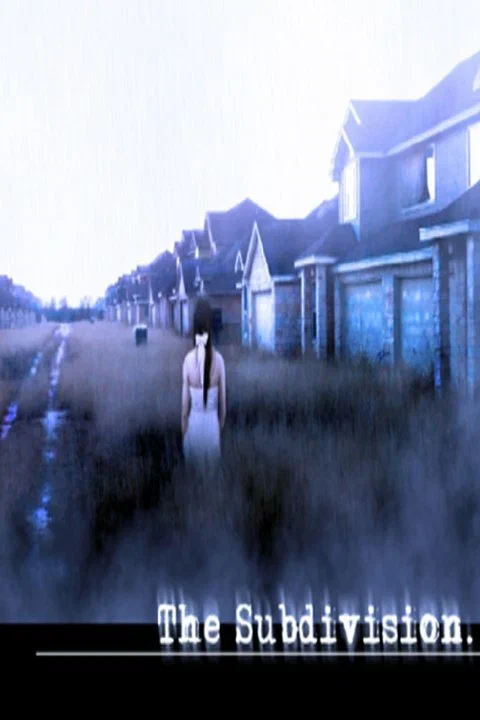 Постер: The Subdivision