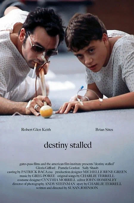 Постер: Destiny Stalled