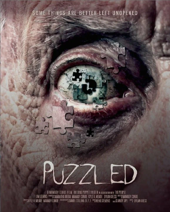 Постер: Puzzled