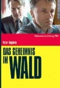 Постер: Das Geheimnis im Wald
