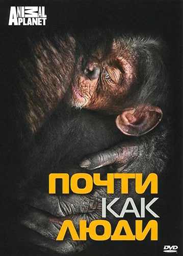 Постер: Discovery: Почти как люди