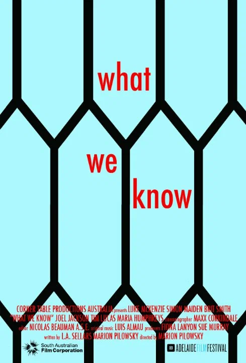 Постер: What We Know