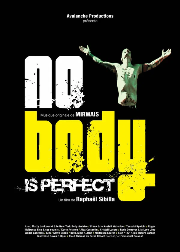 Постер: Nobody is Perfect