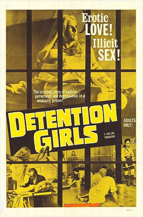 Постер: The Detention Girls