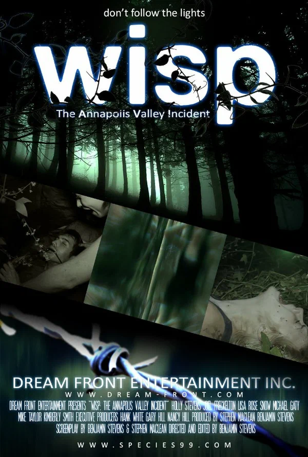 Постер: Wisp