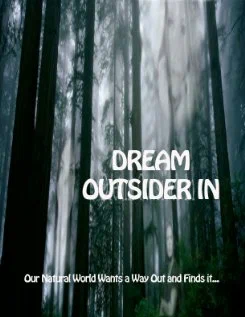 Постер: Dream - Outsider In