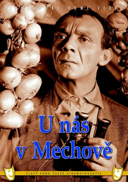 Постер: У нас в Мехове