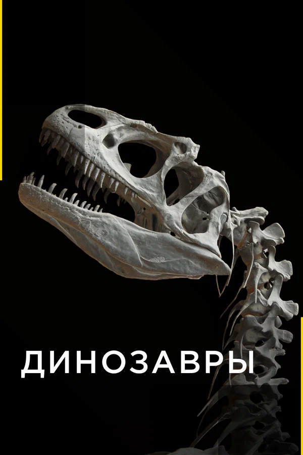 Постер: Динозавры