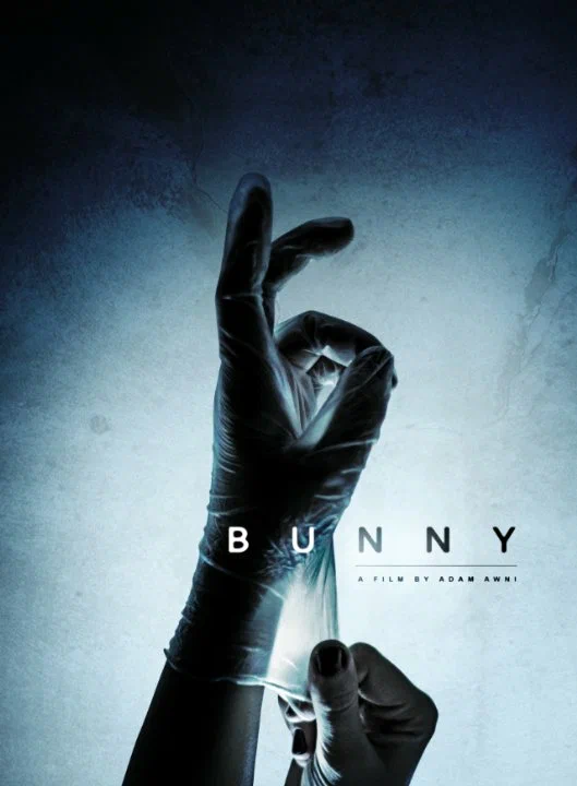 Постер: Bunny