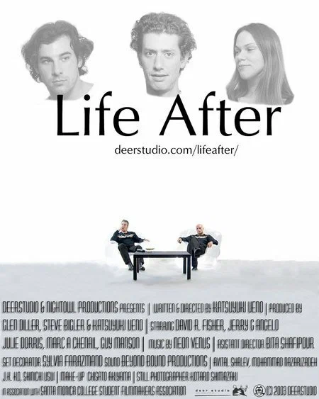 Постер: Life After