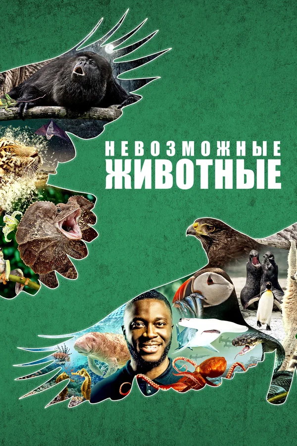Постер: Невозможные животные