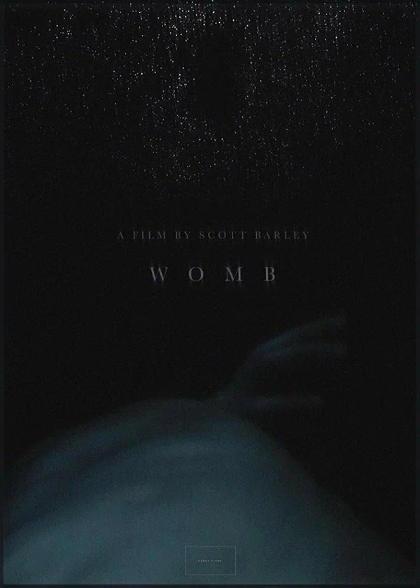 Постер: Womb