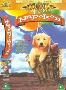 Постер: Napoleon