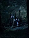 Постер: Ordan's Forest
