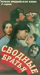 Постер: Сводные братья