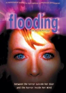 Постер: Flooding