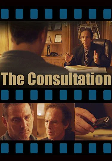 Постер: The Consultation