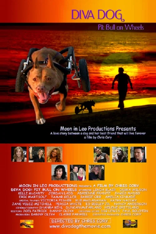Постер: Diva Dog: Pit Bull on Wheels