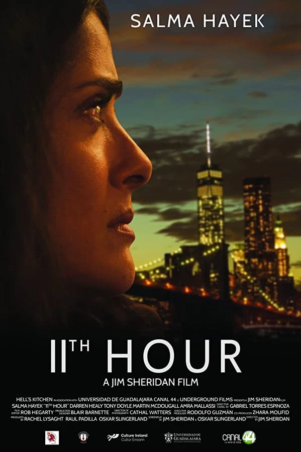 Постер: 11th Hour
