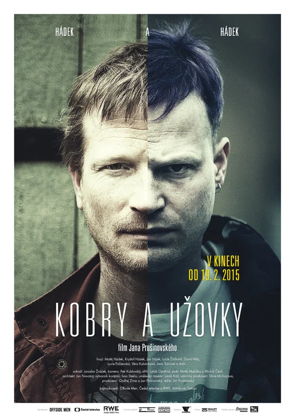 Постер: Кобры и ужи