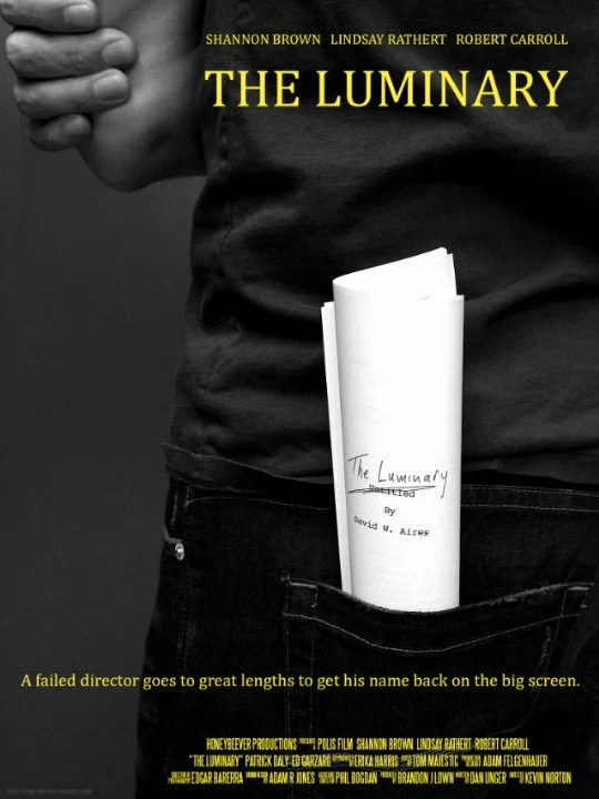 Постер: The Luminary