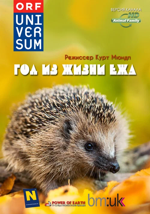 Постер: Год из жизни ежа