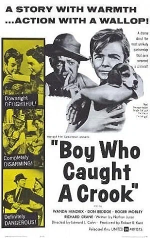 Постер: Boy Who Caught a Crook
