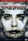 Постер: Черная орхидея
