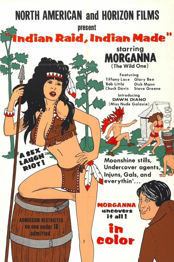 Постер: Indian Raid, Indian Made