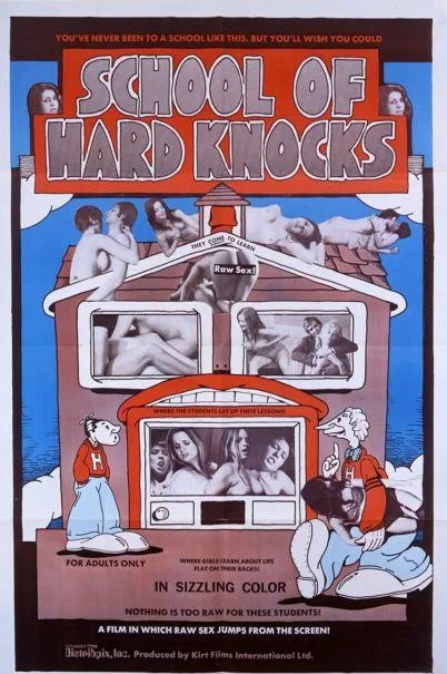 Постер: School of Hard Knocks